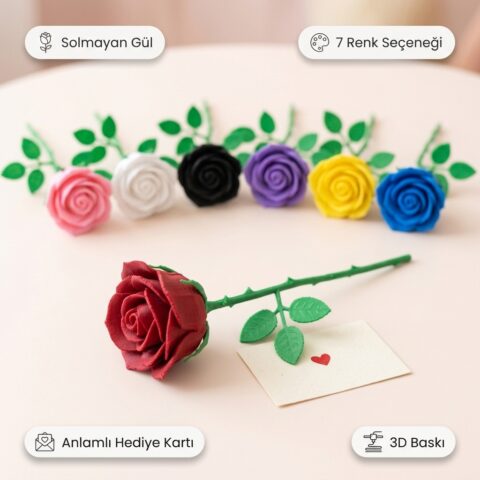solmayan gül renkler