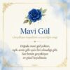 Mavi gül anlam kartı