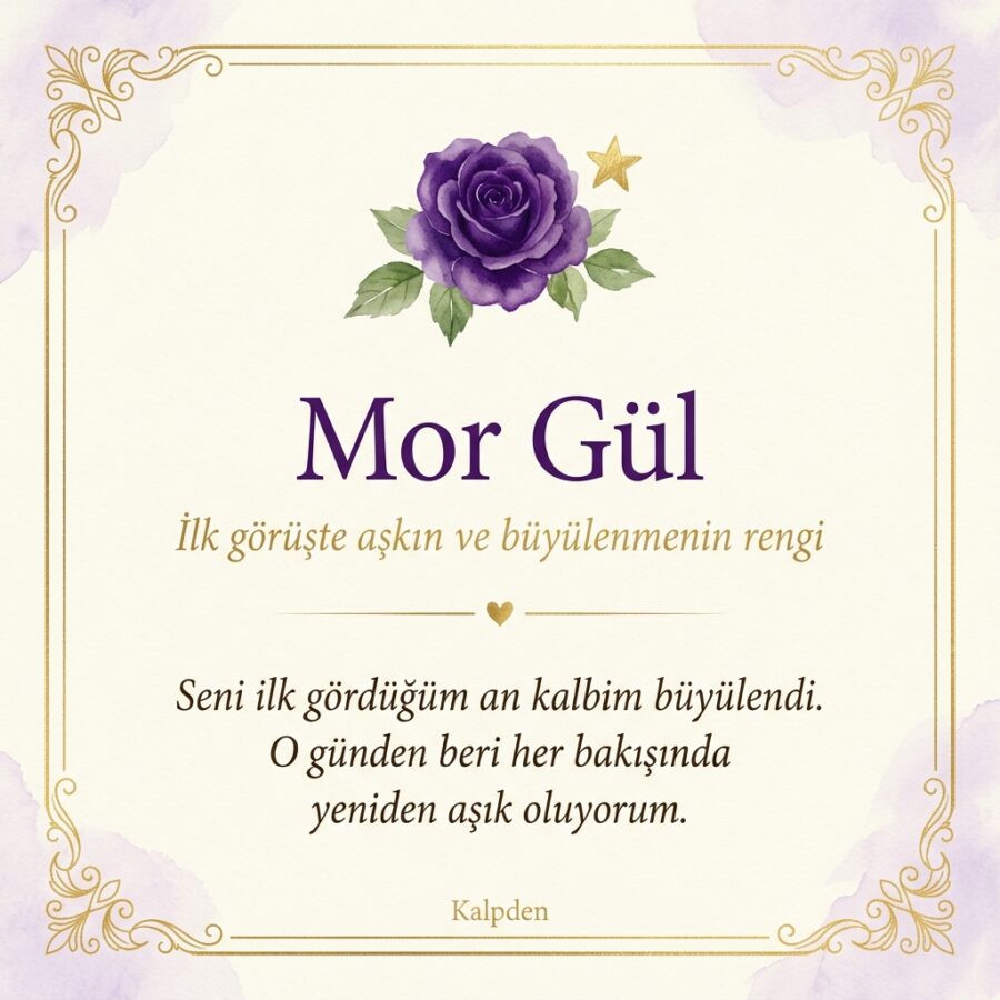 Mor gül anlam kartı