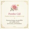 Pembe gül anlam kartı